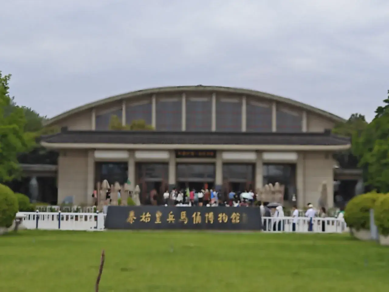 这张莫名其妙拍糊了